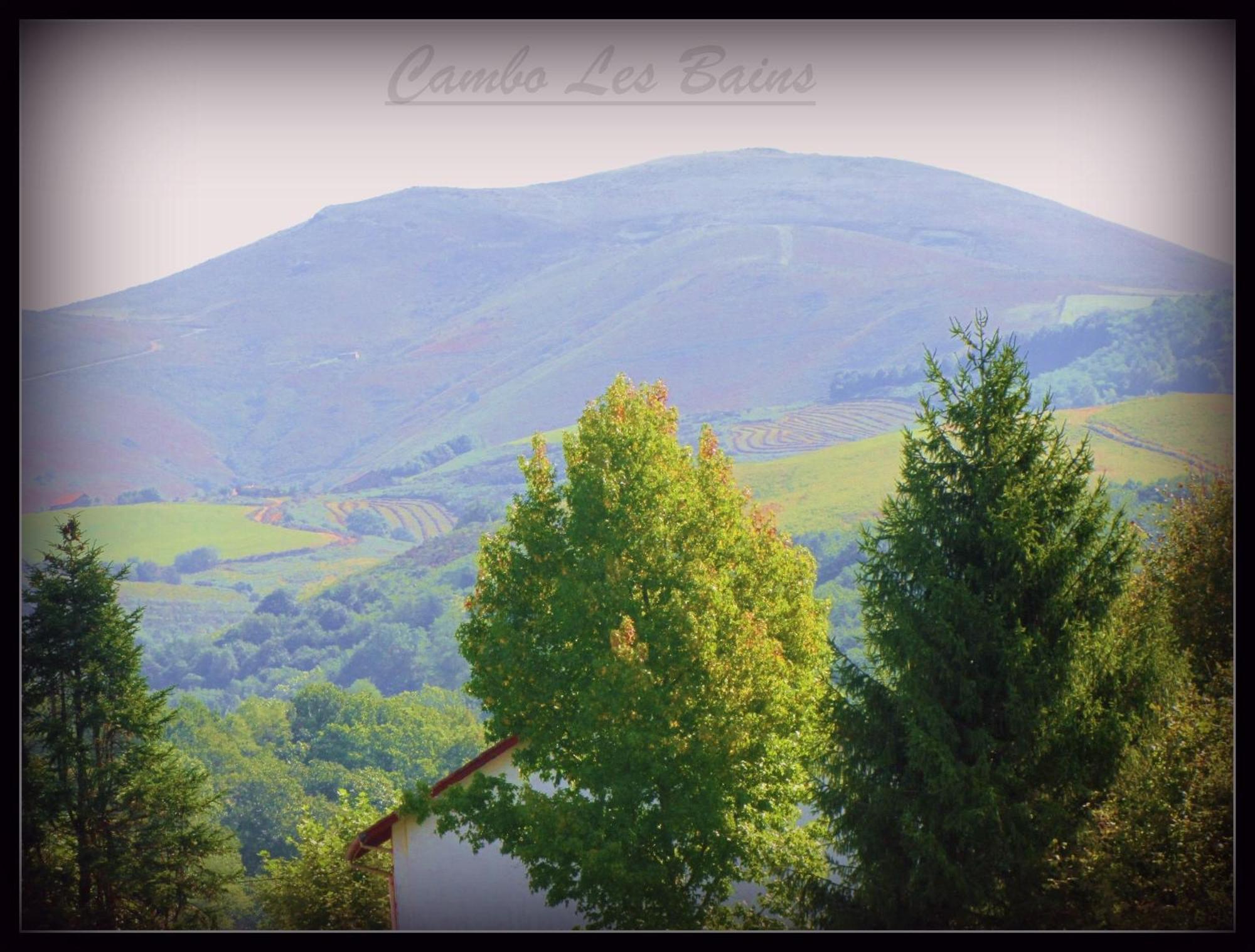 Hotel Ursula Cambo-les-Bains Bagian luar foto