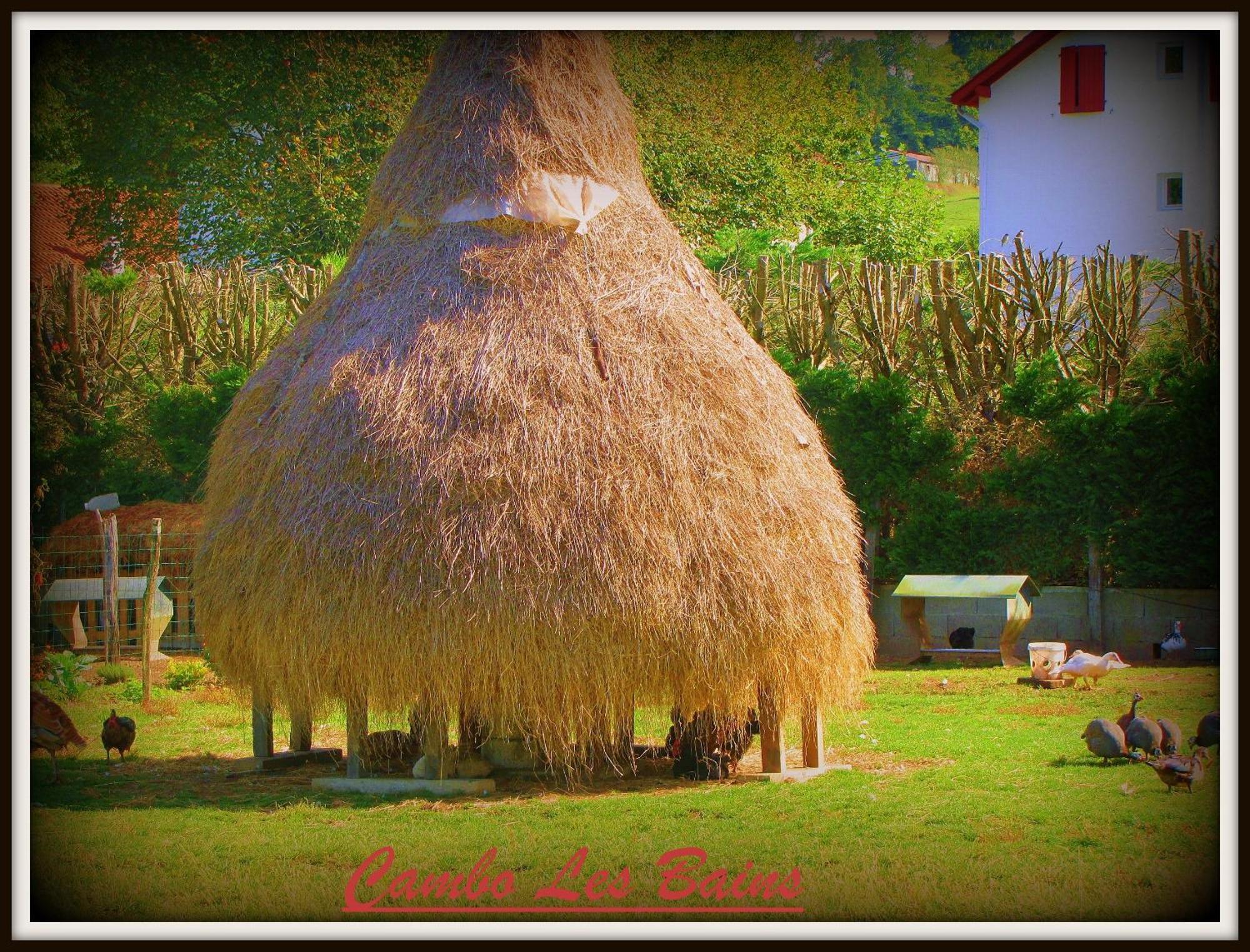 Hotel Ursula Cambo-les-Bains Bagian luar foto